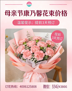 北京海淀花店母亲节康乃馨花束