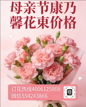 北京海淀花店母亲节康乃馨花束